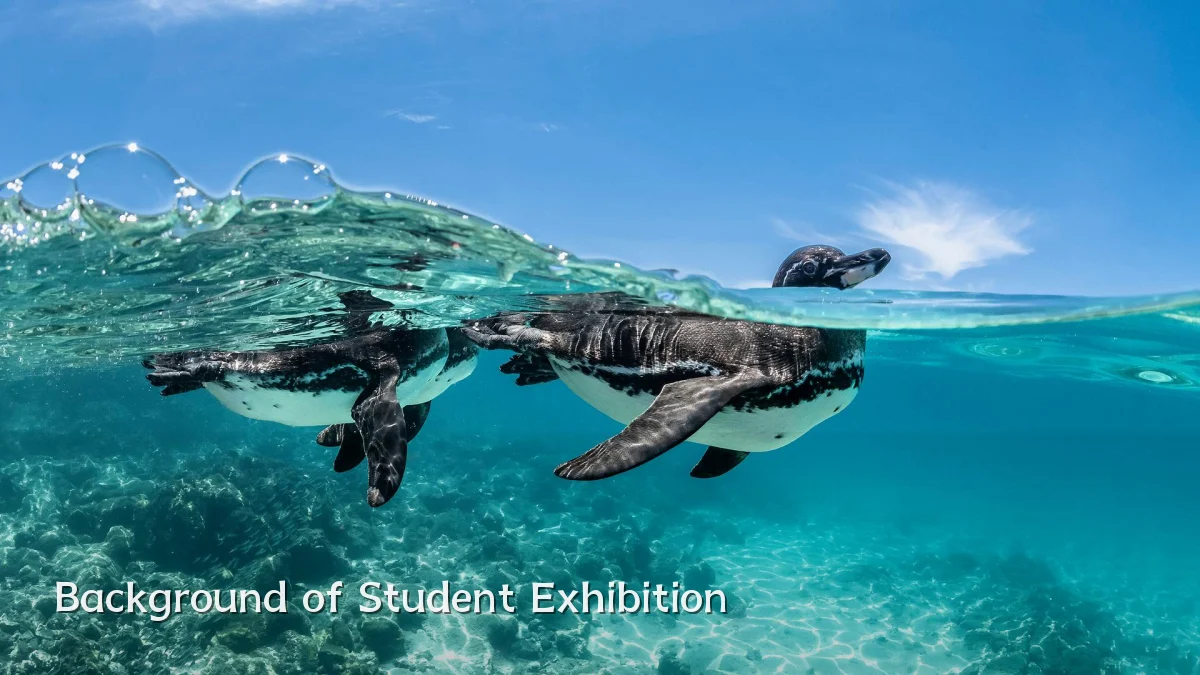 Background of Student Exhibition