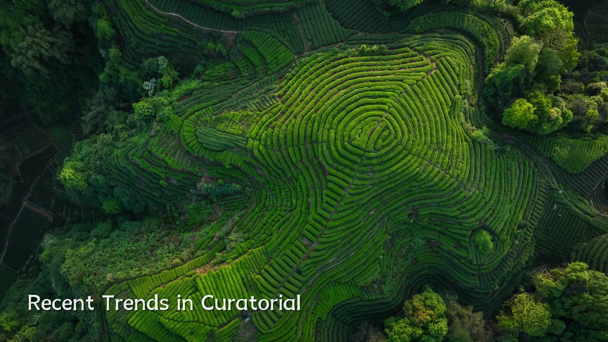 Recent Trends in Curatorial