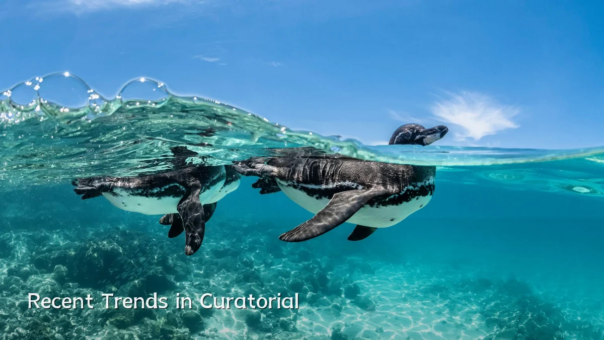 Recent Trends in Curatorial
