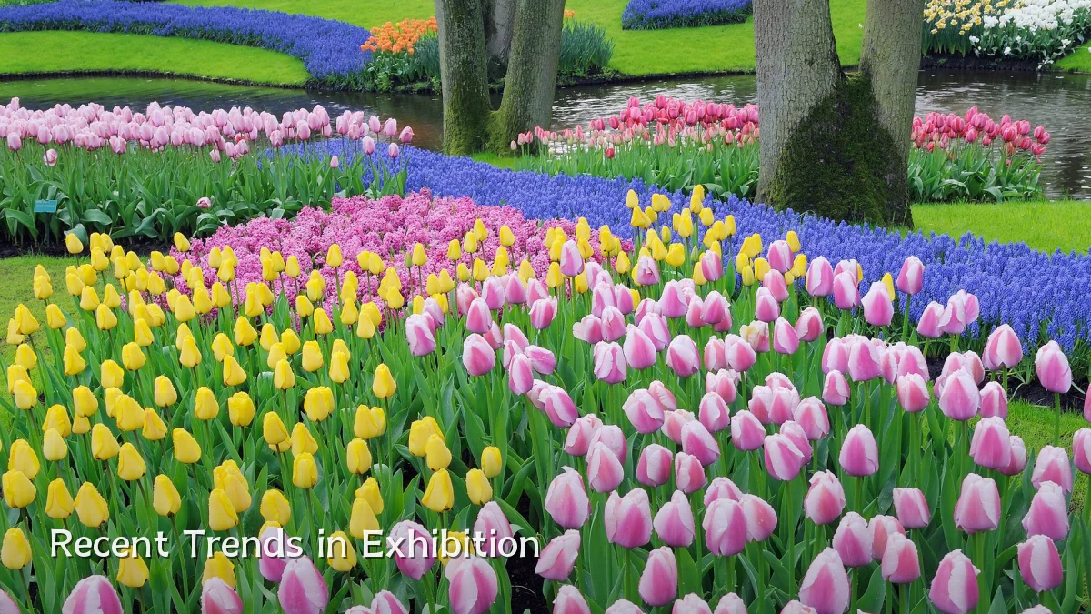 Recent Trends in Exhibition