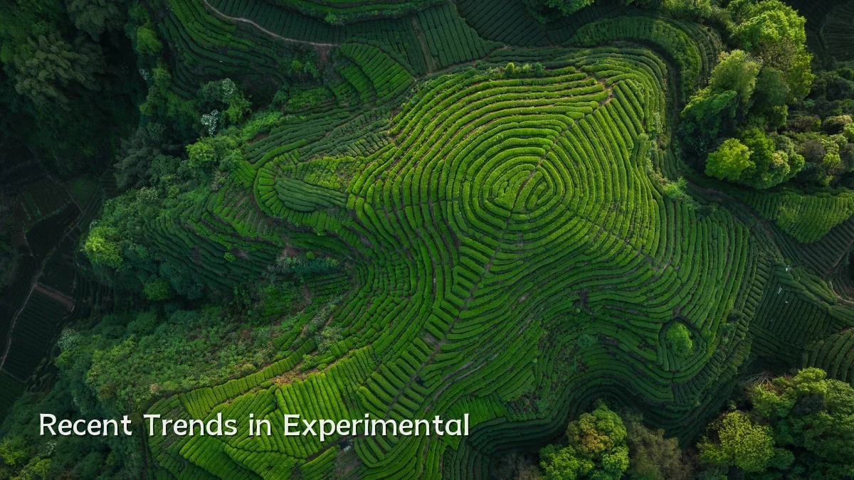 Recent Trends in Experimental