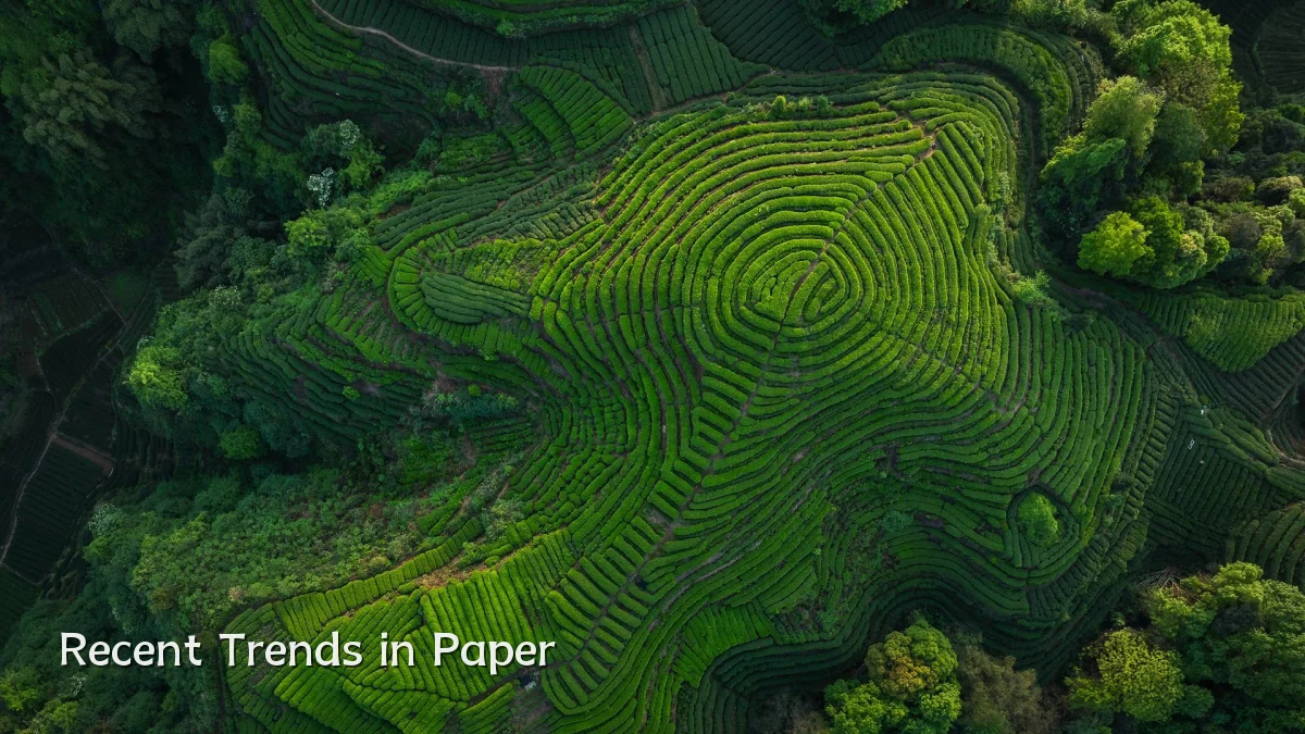 Recent Trends in Paper