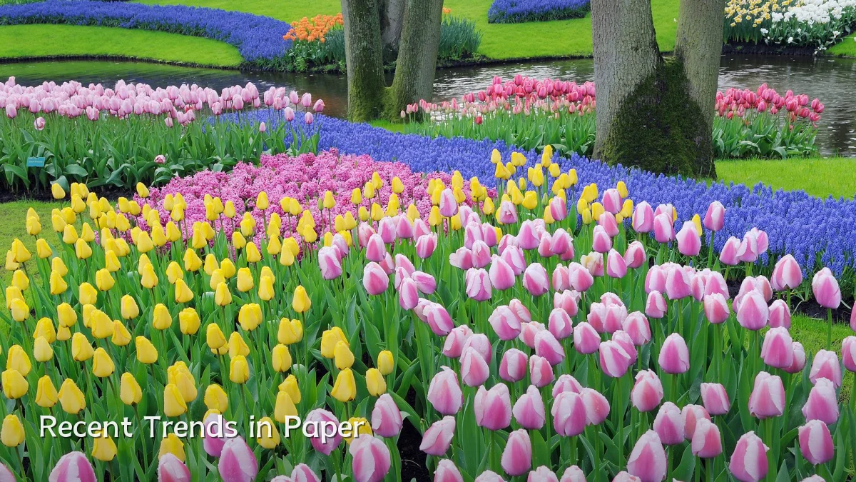 Recent Trends in Paper